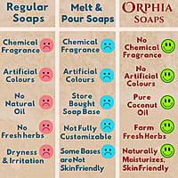5 HERBS BATH BAR - COMBO OFFER - BUY 3 5 HERBS BATH BAR - COMBO OFFER - BUY 3