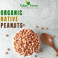 ORGANIC NATIVE PEANUTS